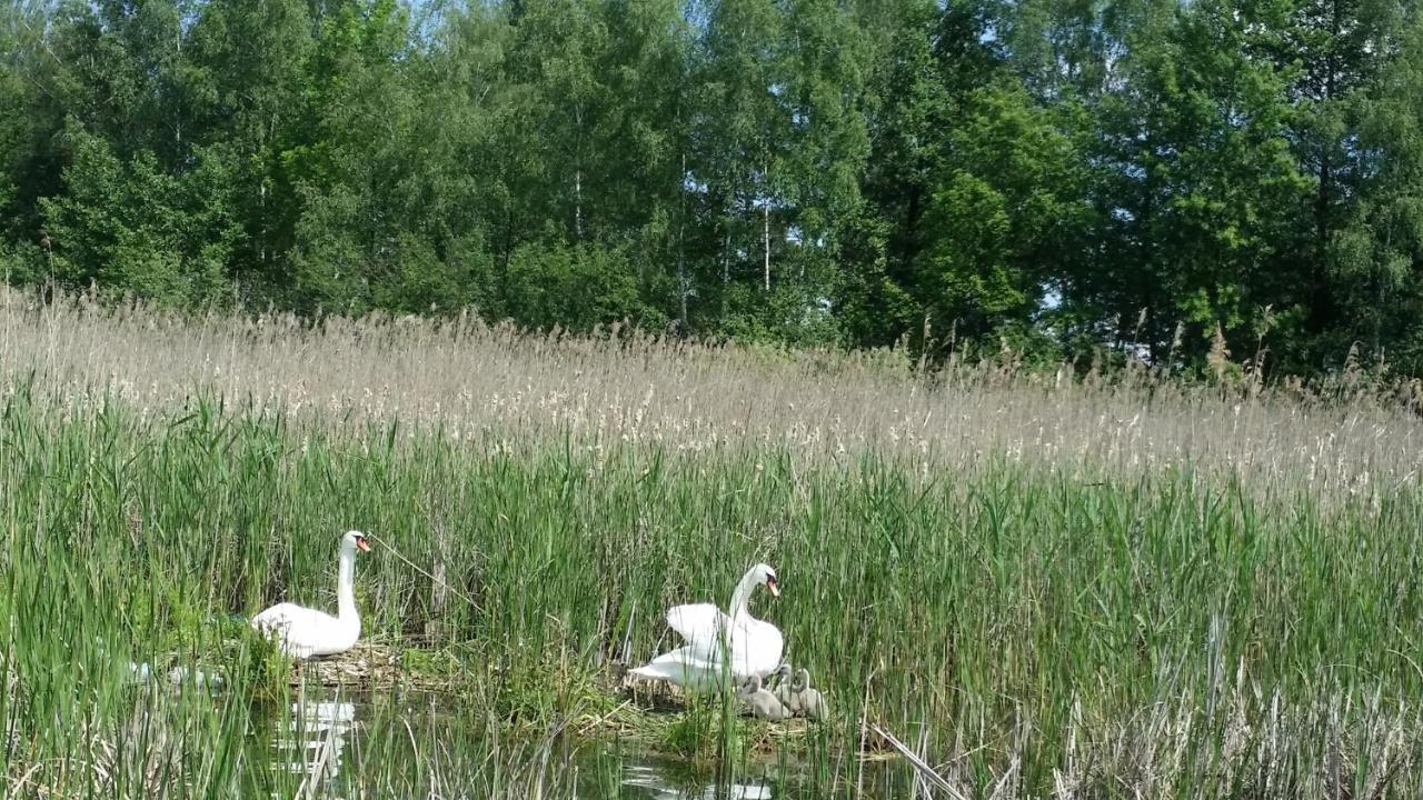 Domek Mazury - Jezioro Orzysz Kültér fotó