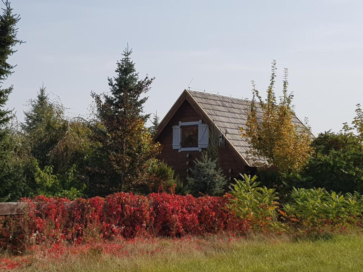 Domek Mazury - Jezioro Orzysz Kültér fotó